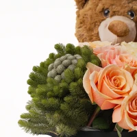 Sürpriz Kutu (Büyük)