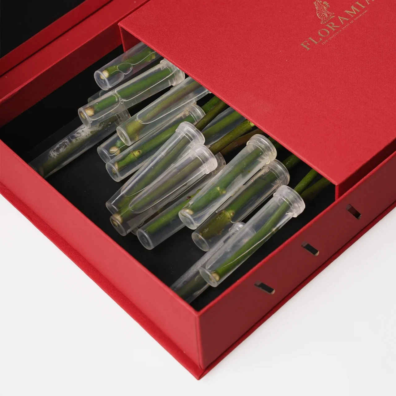 Gül Kutusu (Kırmızı)