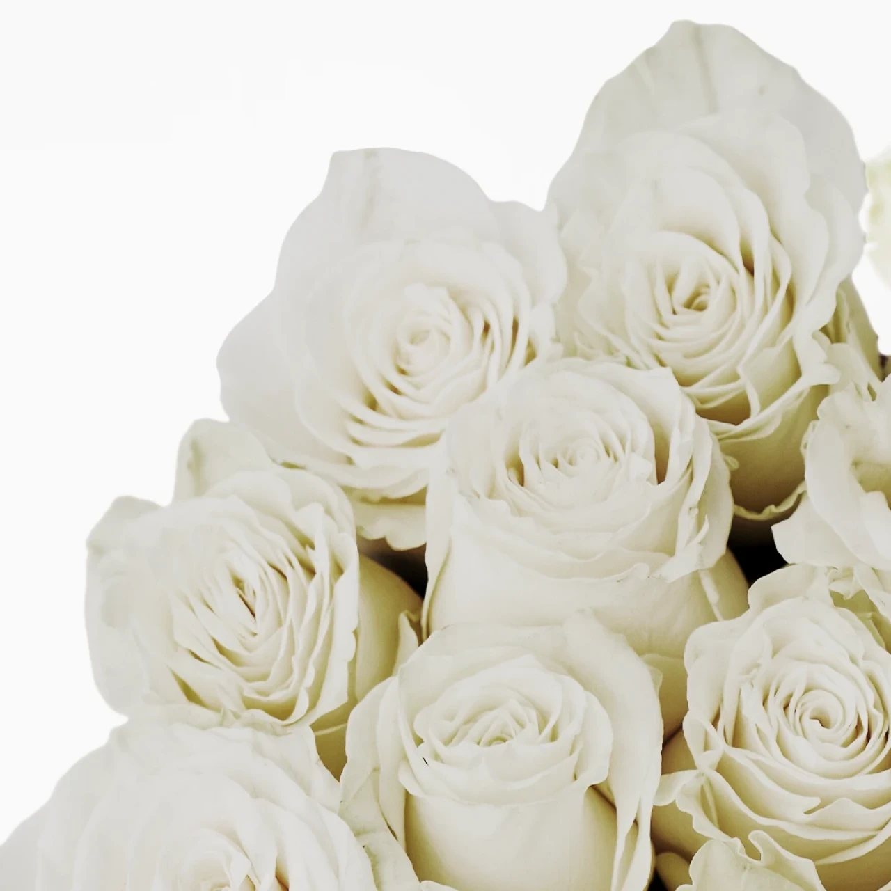 Rose Silindir Kutu (Büyük)